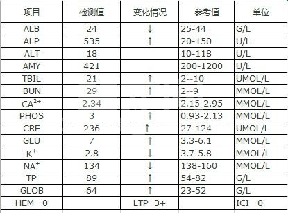 犬子宫蓄脓引发的急性肾功能不全症