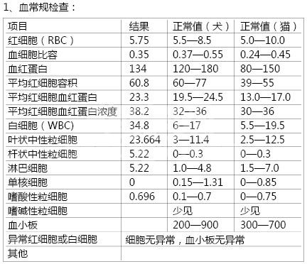 甲状腺机能减退神经损伤病例分析