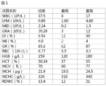 绝育引发的犬猫医源性损伤