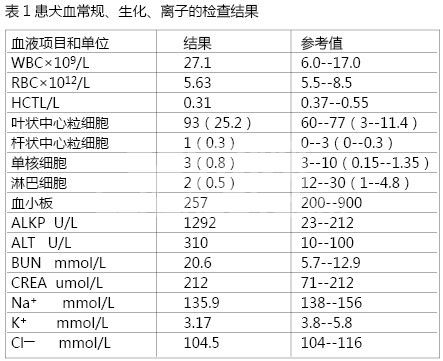一例导尿不当导致尿道断裂的诊断与治疗