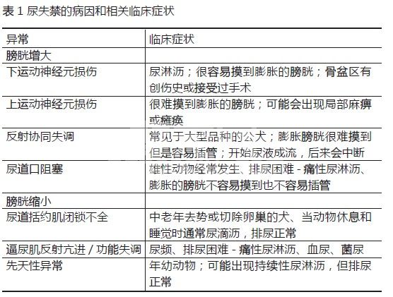 排尿异常的鉴别诊断