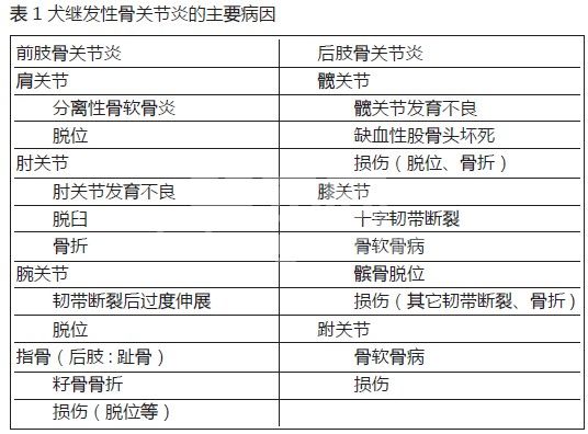 犬骨关节炎