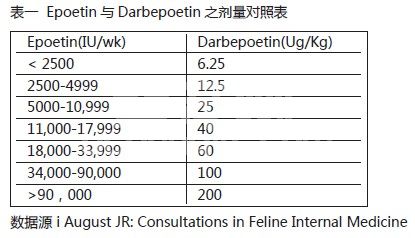 肾脏的内分泌疾病诊治