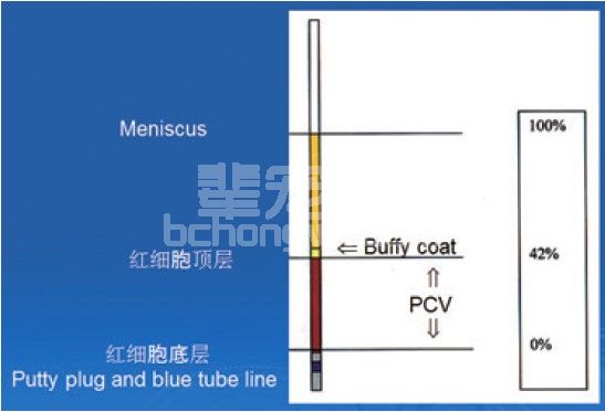 可视黏膜苍白的病患