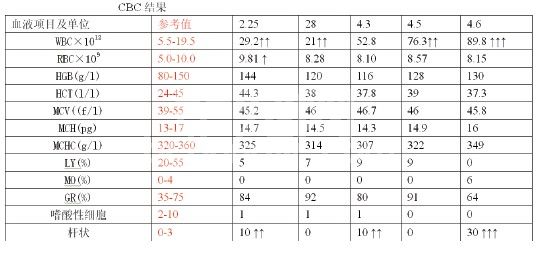 猫胆结石手术治疗体会