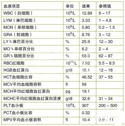 松狮犬中暑抢救范例