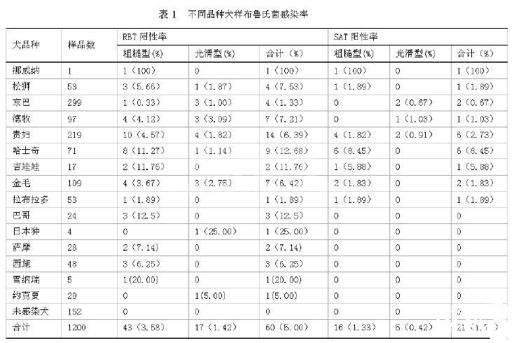 北京地区犬布鲁氏菌病血清学调查结果及分析