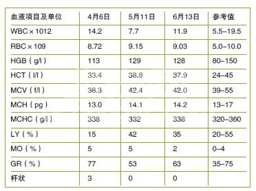 苏格兰折耳猫的骨软骨发育不良