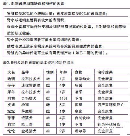 9例犬急性肾衰的诊治