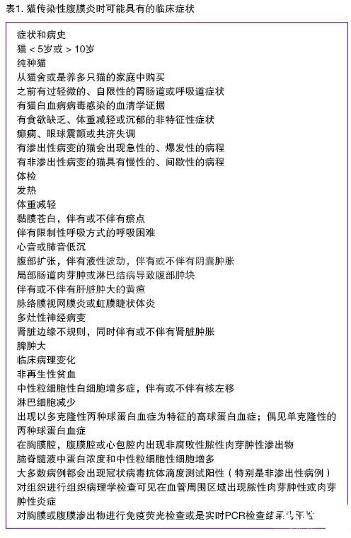 猫冠状病毒感染