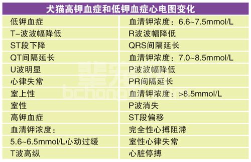 犬猫高钾血症的诊断与治疗