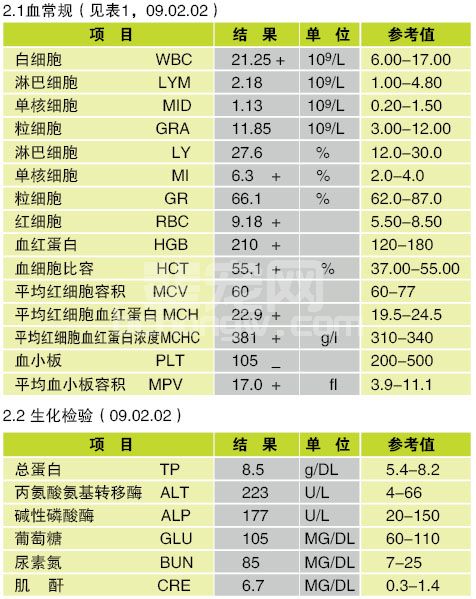犬的膀胱结石和肾结石的病例报告