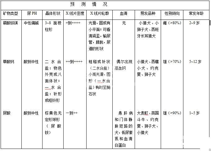 膀胱结石简介及治疗
