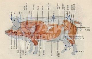 经验分享：使用南瓜子治疗猪蛔虫病