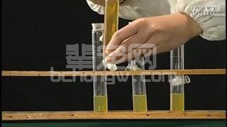 猪用贫血、止血药有哪些？你知道多少呢？