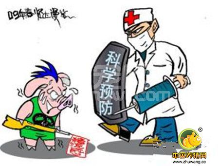 复方替米先锋对猪呼吸道疾病的防治
