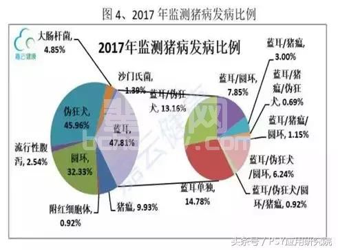 猪场“头号杀手”高效控制方略——让猪场不再谈“蓝”色变