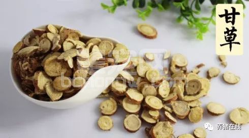甘草妙用猪增重，各种猪病都能治！