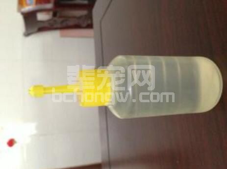 猪精液可用来治猪病？是的，猪精液是一种优良抗菌素...