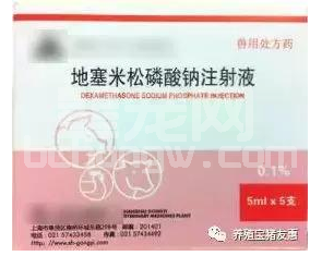 猪场使用地塞米松必须遵循的五大原则，否则后果不堪设想！