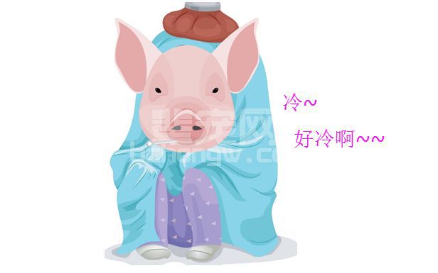 猪出现“低温”的4大原分析，及其应对策略