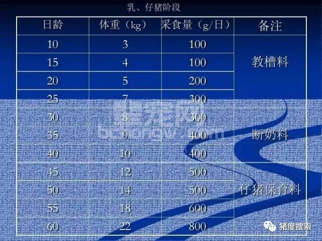 只要方法在，少吃饲料也能长得快！（附：猪各阶段采食表）