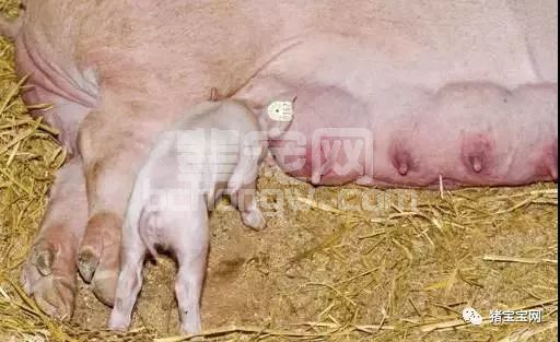 给出4招，轻松搞定这些病