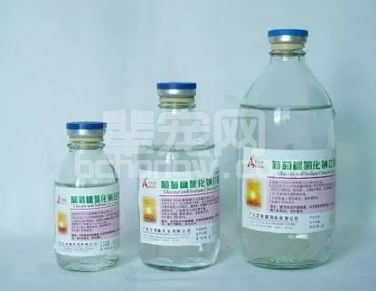 母猪小猪中大猪因疾病几天不食，可以选用葡萄糖，可以选用葡萄糖氯化钠！