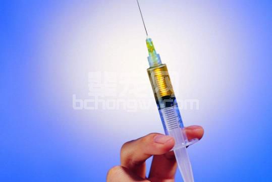 给猪打针！一针退成低温该怎么办？
