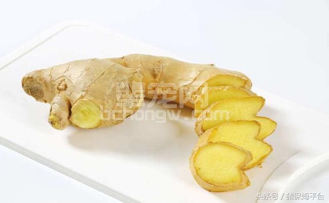 养猪巧用生姜，可以治这十种猪病