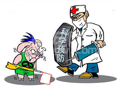 如何把握猪病用药的原则和方法？