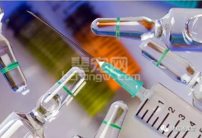 九大细节让猪疫苗免疫效果提升！