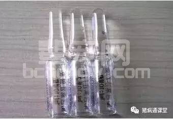 缩宫素在母猪生产中的正确应用方法！