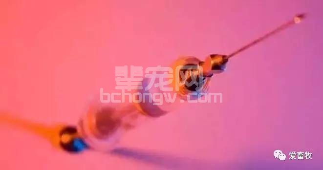 猪场口蹄疫多发，那是因为养猪人忽略了这6条