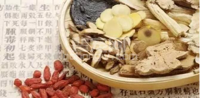 中药在猪场呼吸道疾病防控中可起到口罩防护的作用