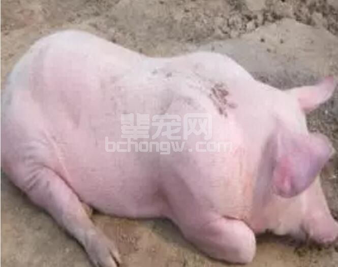 春夏之交或有高热来袭，早做预防！