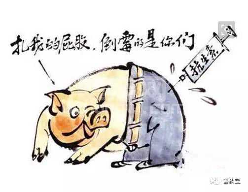 知道吗？频繁的药物预防对猪的不利影响很大！