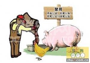 猪场常备这些药，不怕猪养不好！