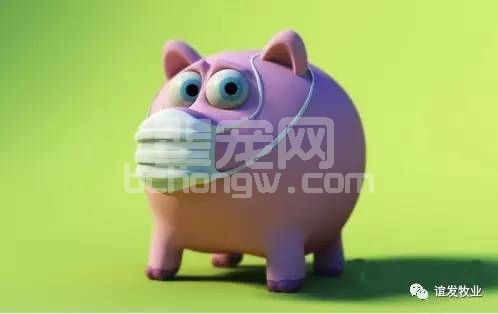 一看温度就知道猪得了什么病!这篇文章太好了！