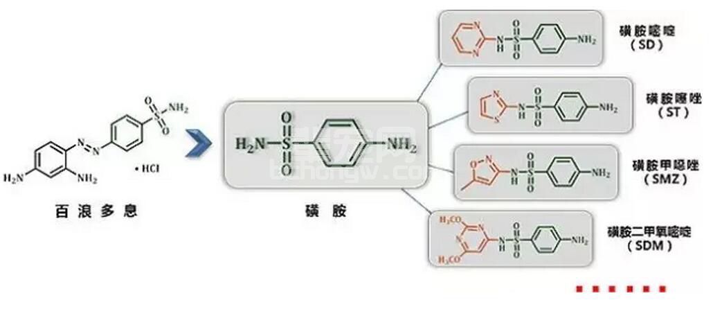 发病原因不明，病原不能断定，用啥药呢？磺胺类药物正确的使用方法