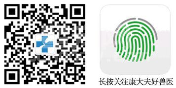 干货：猪附红细胞体早期、中期、后期症状及治疗原则