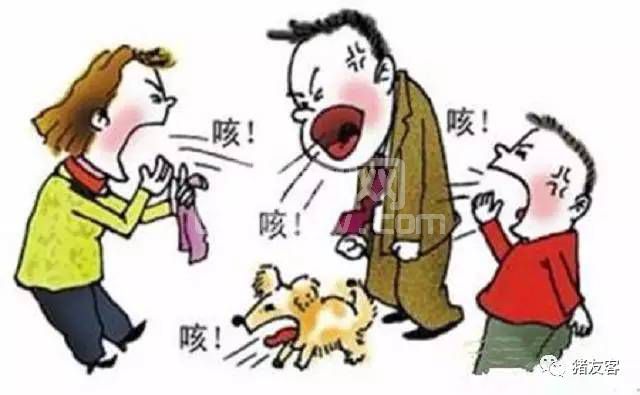 猪场呼吸道疾病防控成败的细节性思考