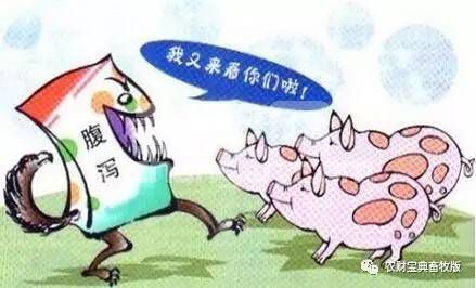 今年腹泻依然席卷全国？这些猪场告诉你如何做到防患于未然！