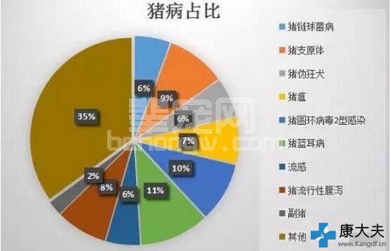 兽医经验：猪流行性腹泻应这样防控
