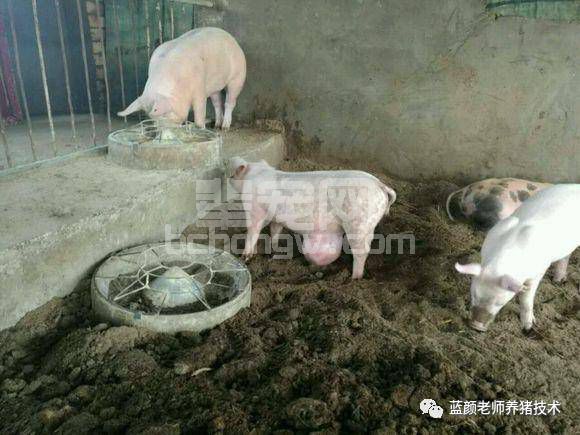 【老颜手术篇】：轻松解决脐疝问题