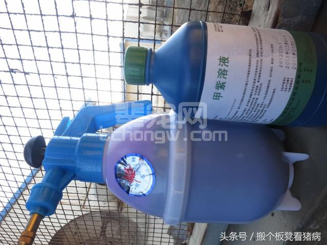 驾驭猪病—六个办法让疾病频发的保育猪像肥猪一样好养