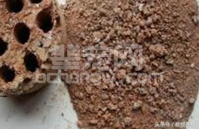 土方防治猪冬季寒泻病 喂三次就止泻！