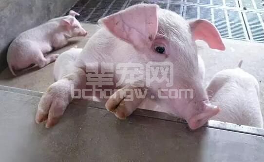 冬季呼吸道疾病实战解剖图
