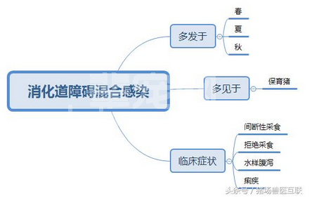 你知道猪为什么拒绝采食吗？三张思维导图帮助你！