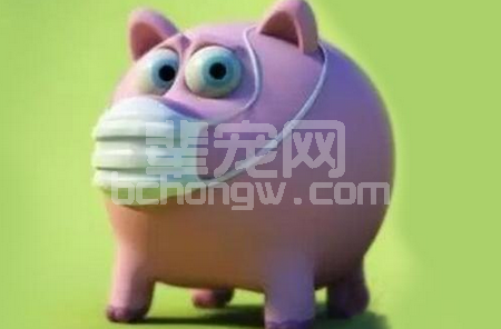 都是拉稀咳嗽，精神不好，怎么区分猪丹毒和传染性胸膜肺炎？